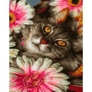 Картина за номерами "Кот в кольорах" 40х50 см