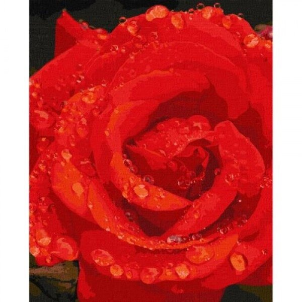 Картина за номерами "Роза в діамантах" від компанії Інтернет-магазин  towershop.online - фото 1