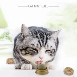 Котяча м'ята іграшка для котів Смакота CatNip