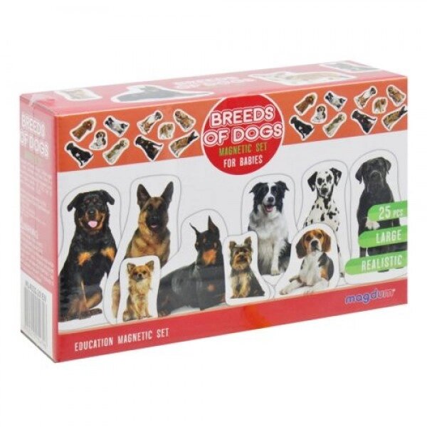 Набір магнітів "Породи собак" (25 шт.) від компанії Інтернет-магазин  towershop.online - фото 1