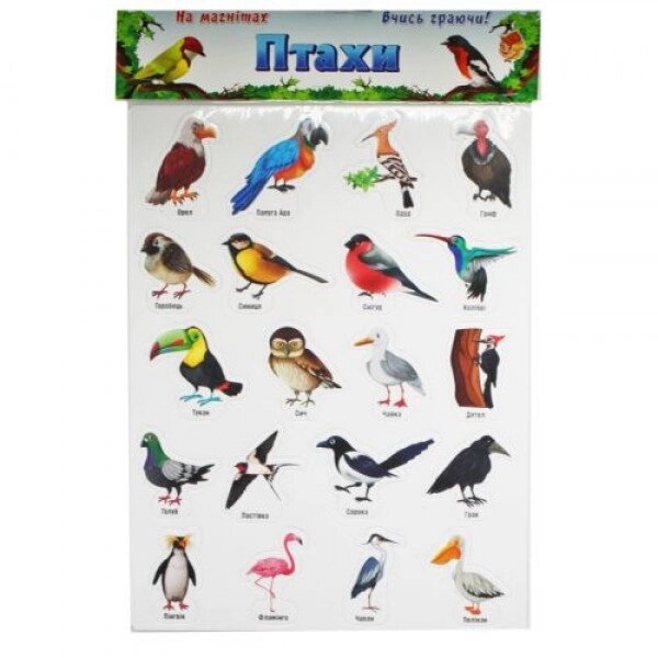Набір магнітів "Птахи" на планшеті, 20 штук (укр) від компанії Інтернет-магазин  towershop.online - фото 1
