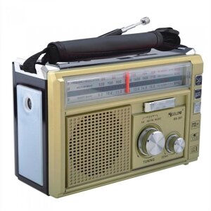 Стовпчик радіо приймача з FM USB MicroSD Radio та ліхтариком Golon RX-382 на золотому акумуляторі