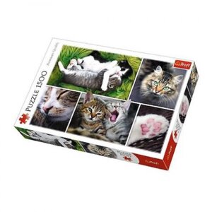 Пазли "Коллаж: Коти", 1500 елементів