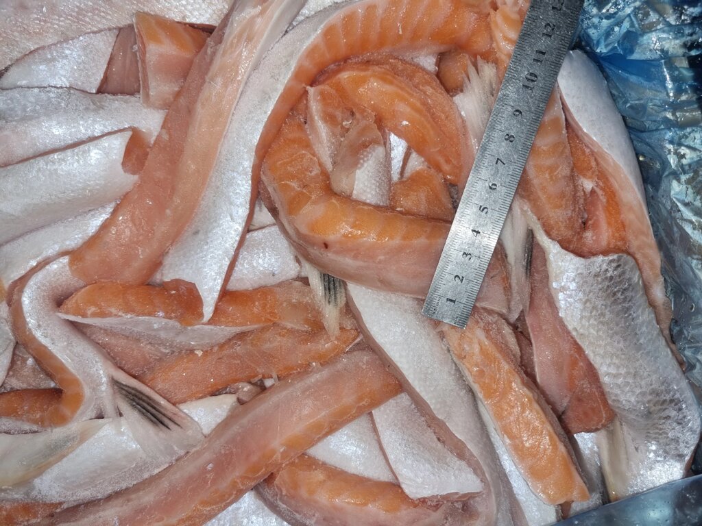 Брюшки лосося свіжоморожені 2-4 Норвгія від компанії Ikrafish_ua - фото 1