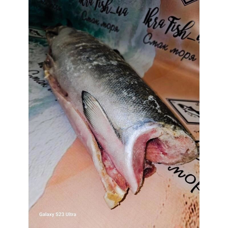 Кета риба тушка від компанії Ikrafish_ua - фото 1