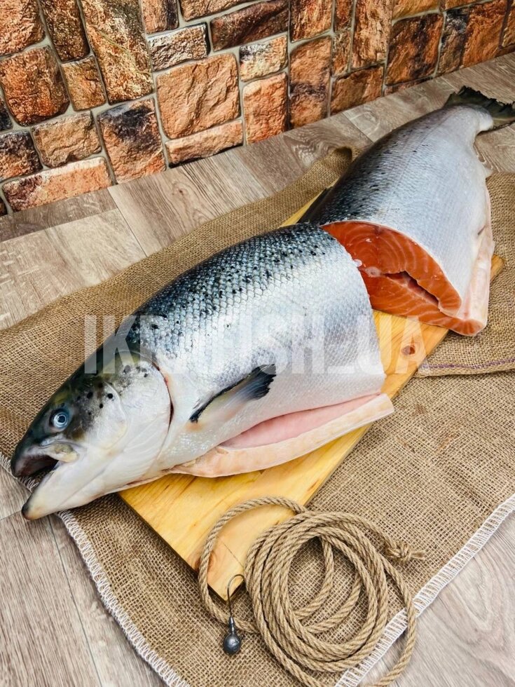 Красная рыба лосось свежомороженая 7-9 кг ##от компании## Ikrafish_ua - ##фото## 1