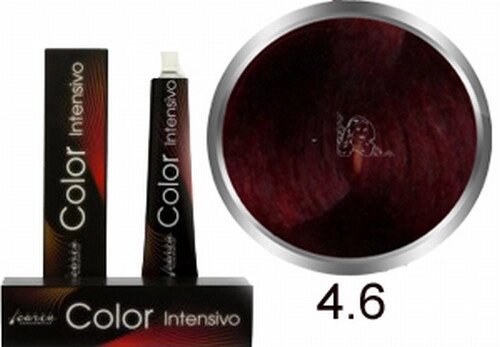 Carin Color Intensivo №4/6 100мл.