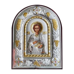 Ікона Святий Пантелеймон Цілитель, розмір AX/BR (200х250)