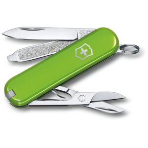 Складаний ніж Victorinox CLASSIC SD Colors Vx06223.43G