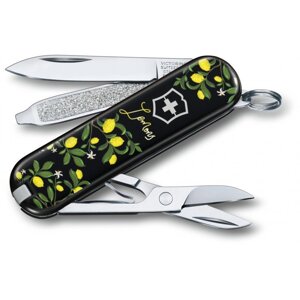 Складаний ніж Victorinox CLASSIC LE 0.6223. L1905