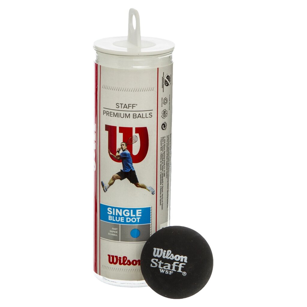 М'яч для сквошу WILSON STAFF SINGLE BL DOT WRT618400 3шт чорний від компанії DROPT - інтернет-магазин гуртової та роздрібной торгівлі - фото 1