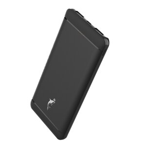 POWER BANK Sky Dolphin SP22 LED MicroUSB/Type-C 10000mAh чорний