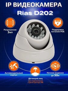 Камера Rias D202 відеоспостереження з нічним зніманням | Аналоговий пристрій для відеозапису