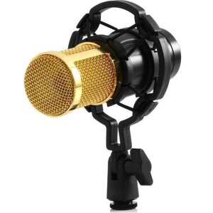 Мікрофон студійний DM 800 | професійний Студійний мікрофон | Конденсаторний мікрофон