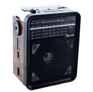 Радіоприймач Golon RX-9100 | Портативний радіоприймач | Радіо SD/USB з ліхтариком