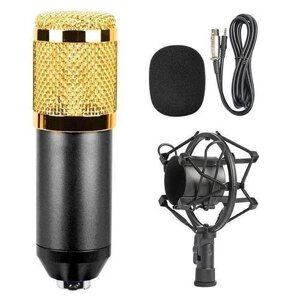 Мікрофон студійний DM 800U | Професійний мікрофон | Конденсаторний мікрофон