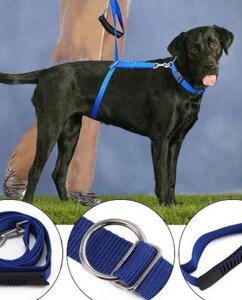 Повідець для собак The Instant Trainer leash більше 30 кг | Шлея для великих собак