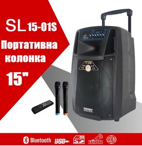 Temeisheng SL15-01S, два мікрофони, 15"Професійна активна акустична система