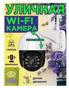 Камера відеоспостереження PTZ вулична WiFi 4mp (ICSEE) (біло-зелена коробка), Вулична поворотна камера