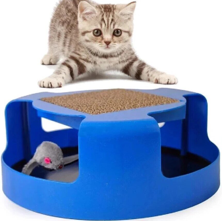 Когтеточка-іграшка для котів і кошенят Cat Mouse Chase Toy, Котяча іграшка від компанії Show Market - фото 1