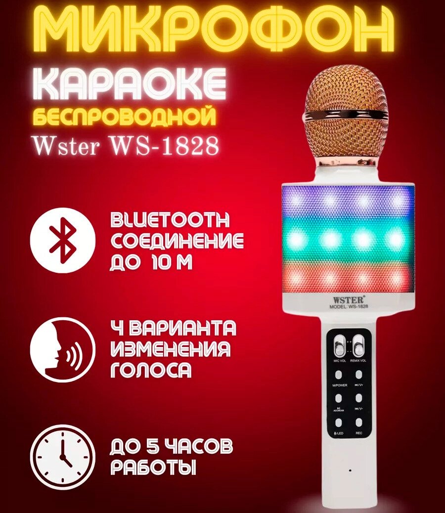 Мікрофон DM Karaoke WS 1828 Бездротовий з функцією зміни голосу, слотом для карти пам'яті та динаміком від компанії Show Market - фото 1