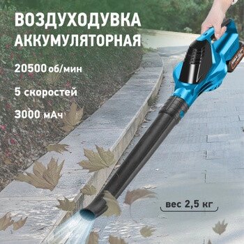 Повітродувка (2 акумулятори) 1135-9, Садовий пилосос для прибирання листя від компанії Show Market - фото 1