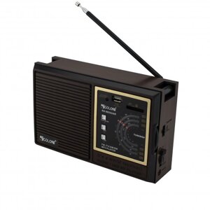 Радіо GOLON RX9933 UAR | ФМ приймач із флешкою | Портативна колонка | Переносне радіо