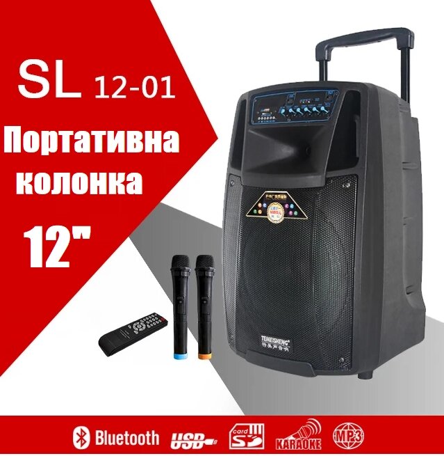 Temeisheng SL12-01, два мікрофони, 12", Професійна активна акустична система від компанії Show Market - фото 1