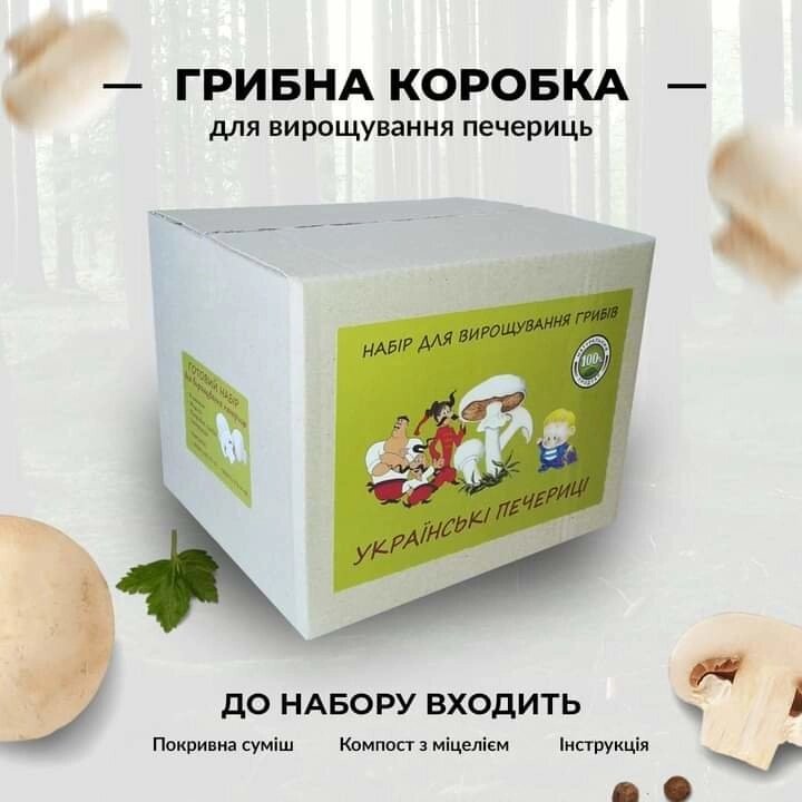 Грибна коробка для вирощувания білих шампіньйонів  3 в 1 від компанії Tolanis - фото 1