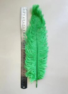 Перо страуса довжиною 30-33 см, салатового кольору, ціна за 1 шт!