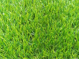 Декоративна штучна трава для газону 30мм. ширина 2м. і 4м.