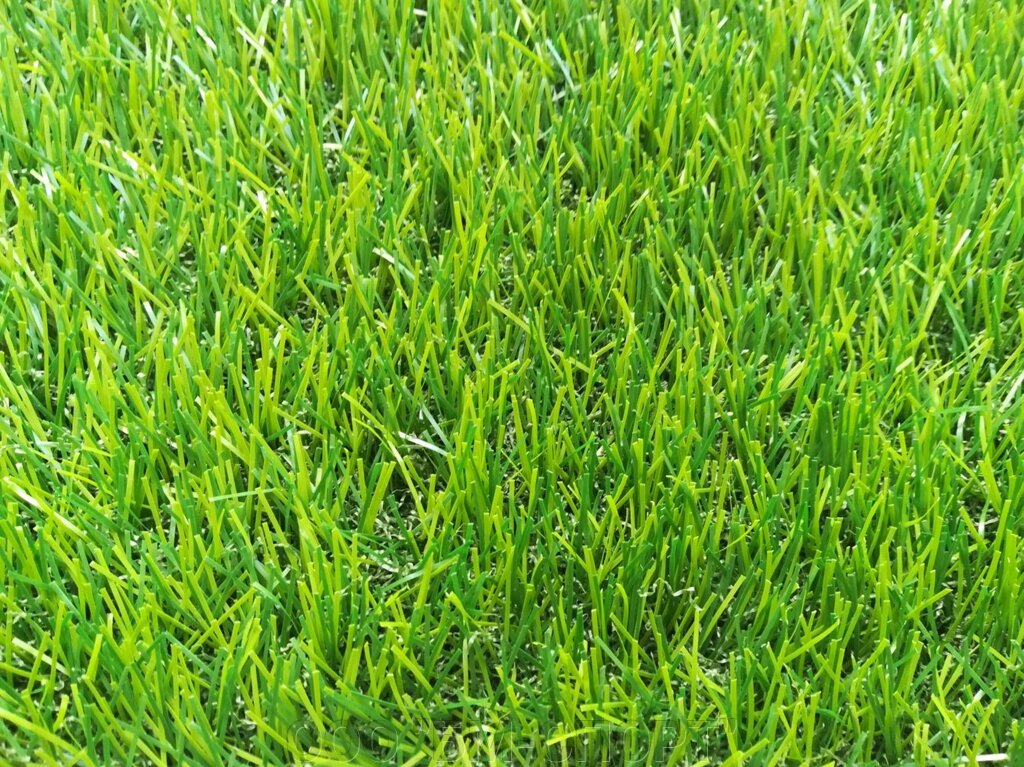 Декоративна штучна трава для газону 30мм. ширина 2м. і 4м. - акції