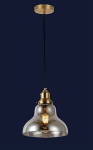Підвісний світильник на одну лампу 91602-1