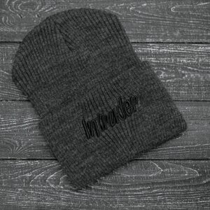 Чоловіча | Жіноча шапка сіра, зимова big logo