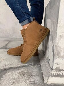 Чоловічі черевики UGG Ginger