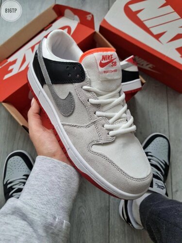 Чоловічі кросівки Nike dunk low SB Pro