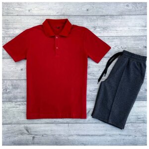 Чоловік річний комплект червона футболка поло теніска + сірі шорти (багато квітів)