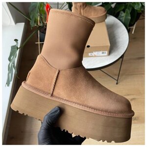 Жіночі зимові черевики UGG Classic Dipper Boots Chestnut хутро, коричневі замшеві чоботи уггі діпер платформа