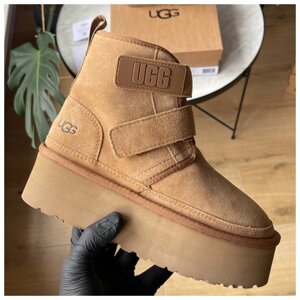 Жіночі зимові черевики UGG Neumel Platform Chukka Chestnut хутро, замшеві чоботи уггі ньюмел на платформі