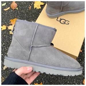 Жіночий зимовий Ugg Mini Bailey Bow II сірий сірий замша Ugg Boots Mini Boulei Bow 2 Жіночі черевики зима