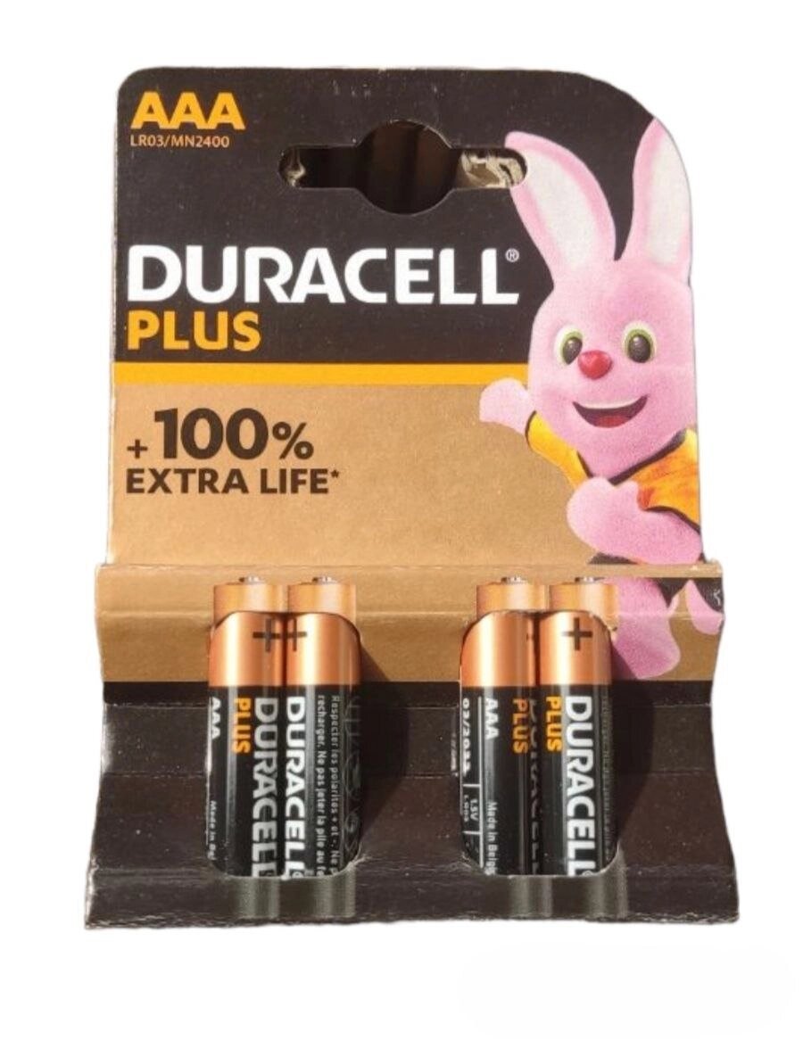 Батарейка DURACELL +100% AA від компанії Packmen - фото 1