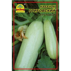 Насіння кабачок Грибовський 10 г (Насіння Країни)