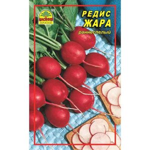 Насіння редиски Спека 3 г (Насіння країни)