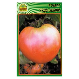 Насіння томату Диво землі 30 шт. (Насіння країни)
