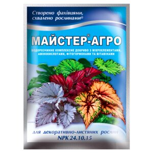 Добриво Майстер-агро для декоративно-листяних рослин 25 г