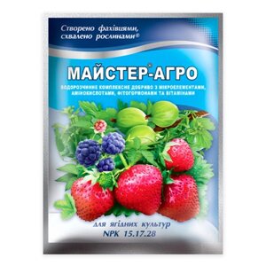 Добриво Майстер-агро для ягідних культур ( NPK 15,17,28 )100 г