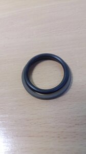 Ущільнення поршня - 213218 Claas