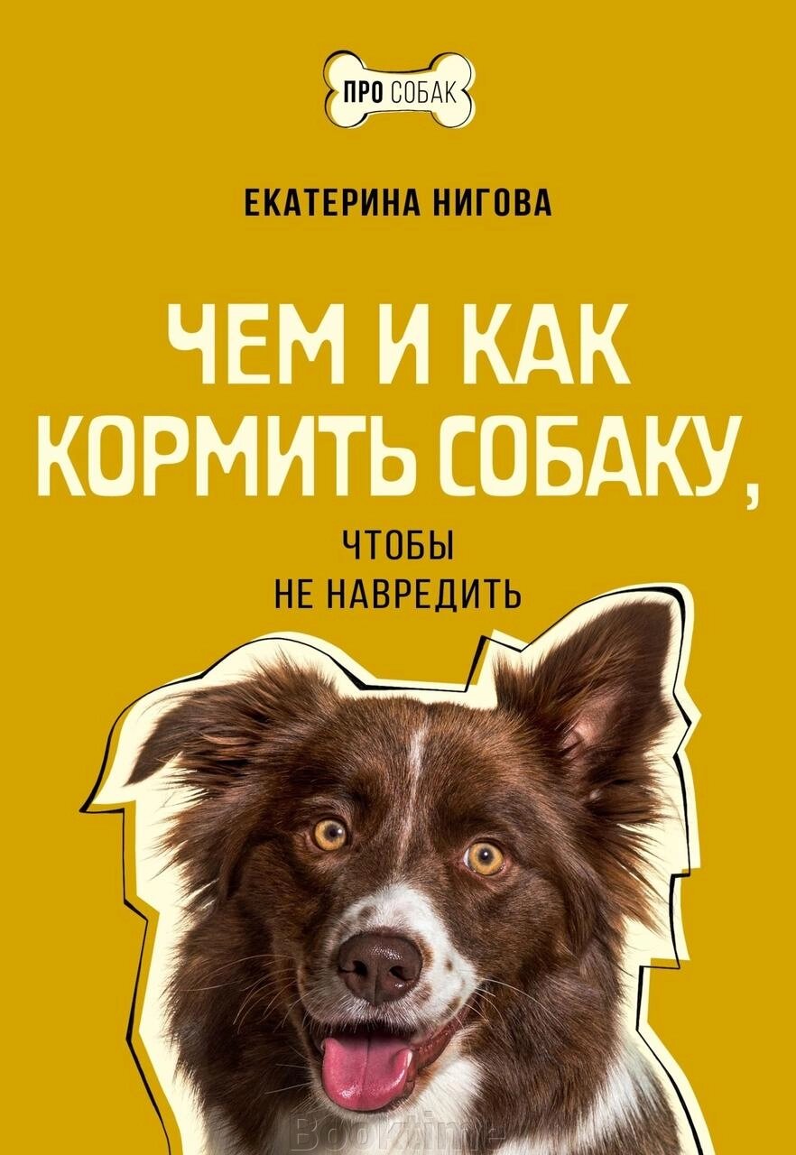 Чим і як годувати собаку, щоб не нашкодити від компанії Booktime - фото 1