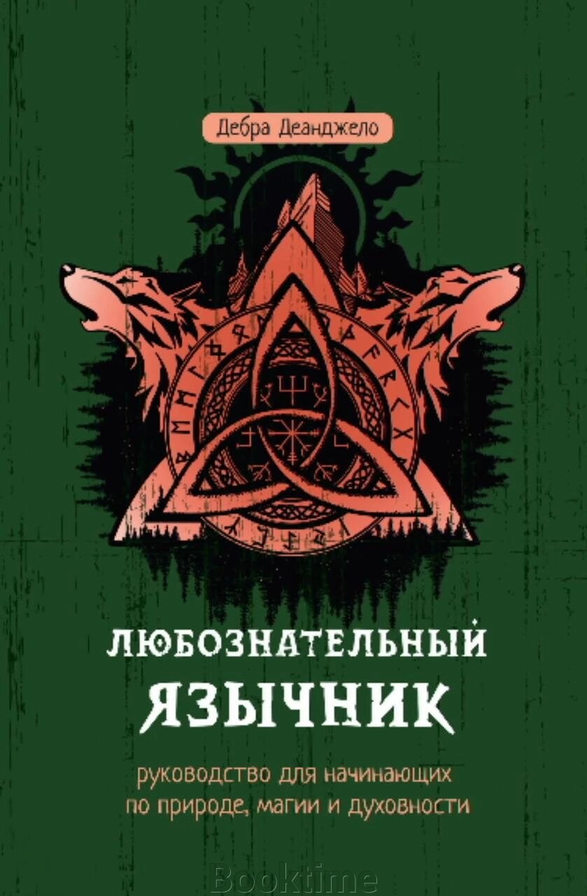 Допитливий язичник: посібник для початківців із природи, магії та духовності від компанії Booktime - фото 1