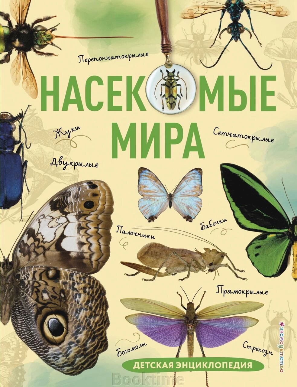 Комахи світу. Дитяча енциклопедія від компанії Booktime - фото 1